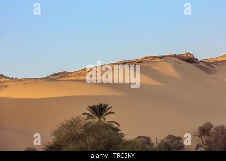 Les dunes de sable du désert dans un faible soleil du soir près de Jazirat Salujah près d'Aswan Banque D'Images