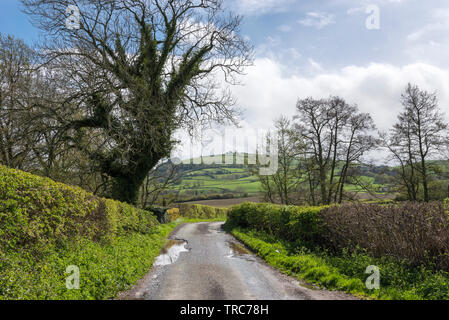 Chemin de campagne près de le Bourg-d'Oisans dans le Shropshire campagne sur une belle journée de printemps ensoleillée. Banque D'Images