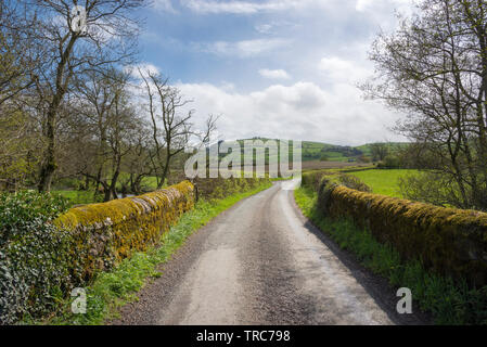 Chemin de campagne près de le Bourg-d'Oisans dans le Shropshire campagne sur une belle journée de printemps ensoleillée. Banque D'Images