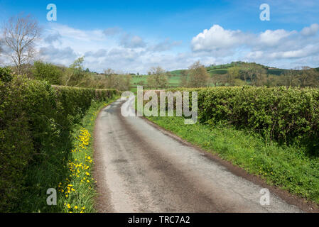 Chemin de campagne près de le Bourg-d'Oisans dans le Shropshire campagne sur une belle journée de printemps ensoleillée. Banque D'Images