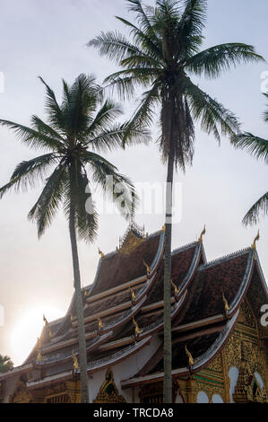 Palmiers flank Haw Pha Bang temple dans le centre de Luang Prabang. L'ancienne capitale royale a la liste du patrimoine mondial pour ses temples bouddhistes. Laos LAO Banque D'Images