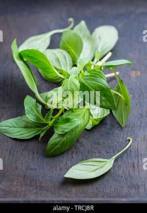 Image de feuilles de basilic thaï Banque D'Images