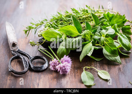 Groupe de différentes herbes pour la cuisine sur fond de bois Banque D'Images