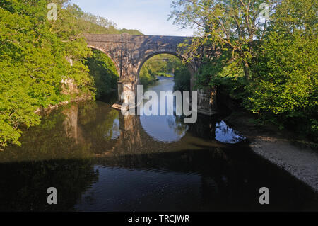 Rolle Bridge, et le pont de chemin de fer désaffectées au-delà, sur la rivière Torridge, près de Great Torrington, Devon, Angleterre Banque D'Images