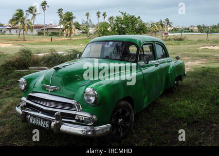 Varadero, Cuba - 28 janvier 2018 : Classic green vintage voiture américaine est garé sur une prairie en face de quelques palmiers Banque D'Images