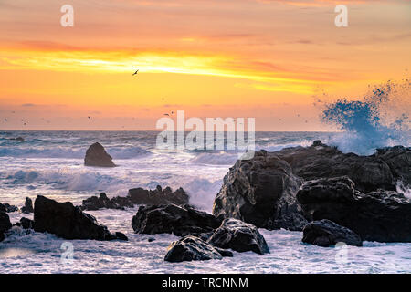Big Sur, Californie - le magnifique coucher de soleil sur une plage de la Californie avec de grandes vagues se briser sur les rochers, et un troupeau d'oiseaux au loin. Banque D'Images