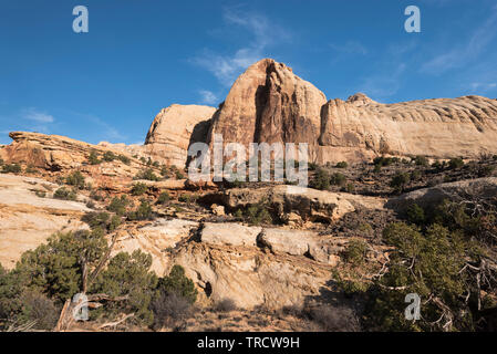 Dome Navajo est un grand monolithe de grès situé dans Capital Reef National Park, en Utah. Banque D'Images