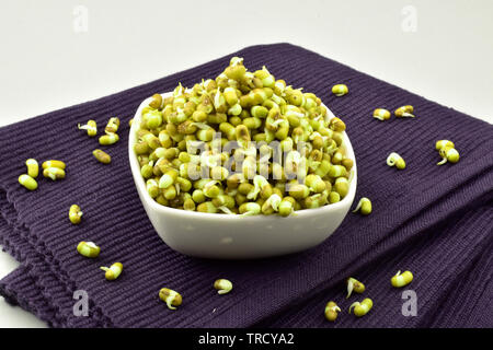 Moong germés dans un bol sur place mat isolé sur fond blanc Banque D'Images