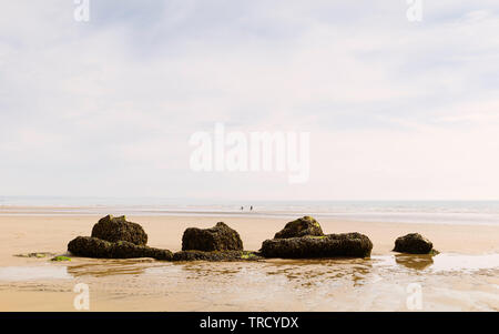 Vue sur plage de sable avec des algues couverts WW2 défenses de la mer et de deux personnes à pied non identifiables en été, Fraisthorpe, Yorkshire, UK. Banque D'Images