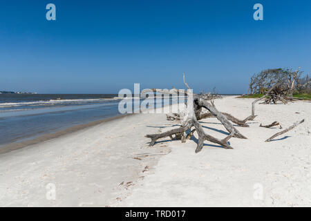 Jekyll Island Géorgie Driftwood Beach Shoreline Banque D'Images