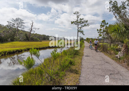 Vélo sur des sentiers de vélo de l'île de Jekyll, Brunswick, Georgia USA Banque D'Images