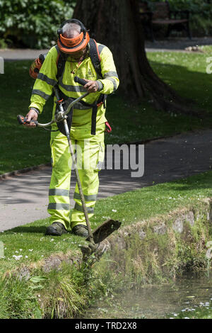 Un travailleur strimming gazon et les mauvaises herbes autour d'un ruisseau dans un parc paysager à Newquay en Cornouailles. Banque D'Images