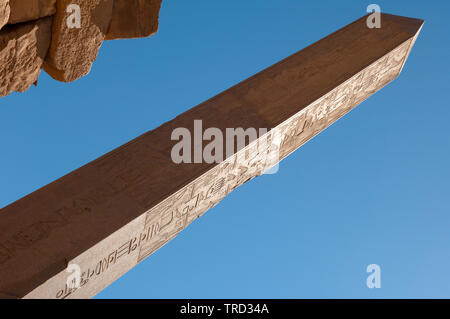 Hatshepsuts Reine pharaon obélisque en temple de Karnak, Louxor, Egypte Banque D'Images