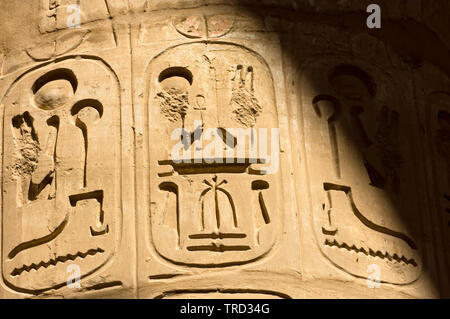 Effacé partiellement cartouches sur une colonne de la salle hypostyle, Temple d'Amon, Karnak, Louxor, Egypte Banque D'Images