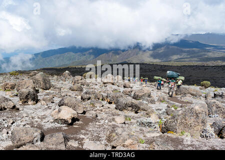 Le mont Kilimandjaro, Tanzanie - 19 Février 2019 : porteurs de randonnée avec des charges allant jusqu'à 30kg sur la tête et le dos dans le soleil chaud. Banque D'Images