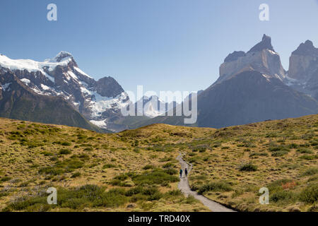 2 randonneurs sur un sentier dans la région de Torres del Paine, Patagonie, Chili Banque D'Images