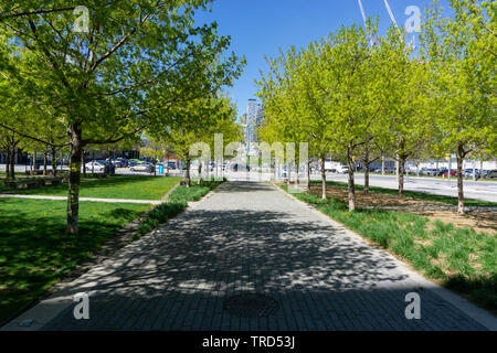 Au cours de l'été, Toronto, transforme en une multitude de parcs verdoyants. La ville a beaucoup de verdure et de détente. Banque D'Images