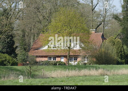 Bâtiment résidentiel moderne, une maison unifamiliale, Basse-Saxe, Allemagne, Europe Banque D'Images