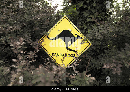 Traffic sign kangaroo Banque D'Images