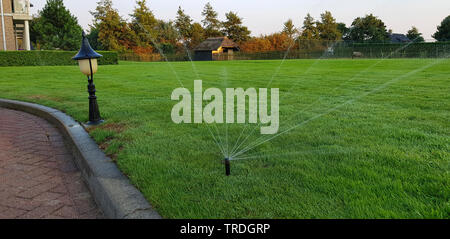 De l'irrigation sur une pelouse dans un parc, Allemagne Banque D'Images