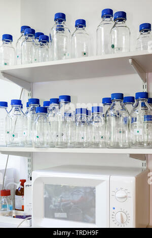 Close up portrait of reseach laboratory avec verrerie de laboratoire vides avec bouchons bleu Banque D'Images