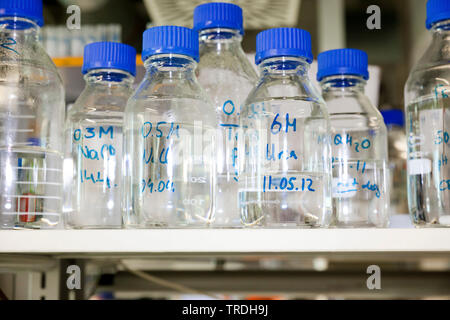 Close up portrait of laboratoire de recherche rempli avec verrerie de laboratoire avec blue caps Banque D'Images