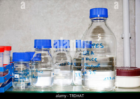 Close up portrait of laboratoire de recherche rempli avec verrerie de laboratoire avec blue caps Banque D'Images