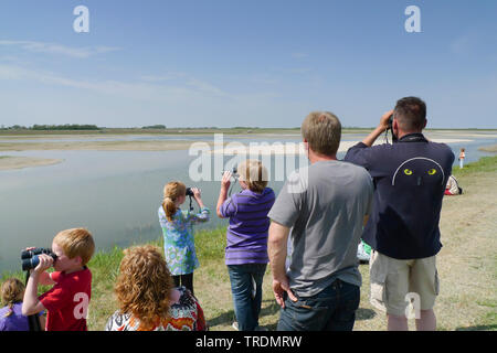 Les ornithologues amateurs sur leur poste à l'Utopie, Pays-Bas, Texel Banque D'Images