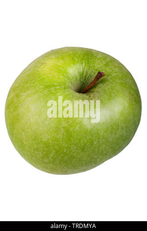 Apple (Malus domestica 'Granny Smith', Malus domestica Granny Smith), pomme Granny Smith du cultivar Banque D'Images