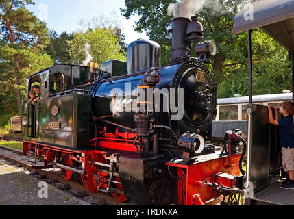 Sauerland de fer à voie étroite sur les rails à Hueinghausen-jaugé, Allemagne, Rhénanie du Nord-Westphalie, Rhénanie-Palatinat, Herscheid Banque D'Images