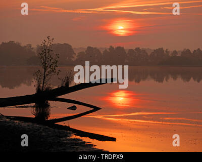 Lever de soleil sur un lac en Lusace, l'Allemagne, Bade-Wurtemberg, la Spree Banque D'Images