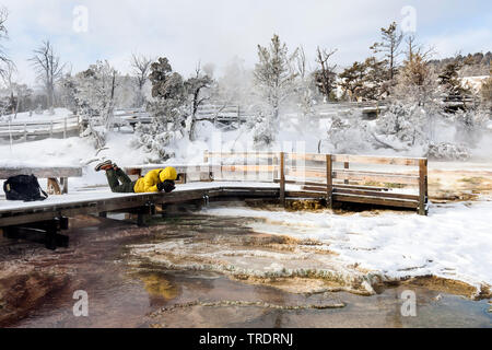 Man photographing à Mammoth Hot Springs, États-Unis d'Amérique, Wyoming, Yellowstone National Park Banque D'Images