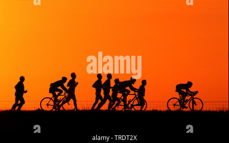 Les coureurs et les cyclistes sur la digue au coucher du soleil, Pays-Bas Banque D'Images