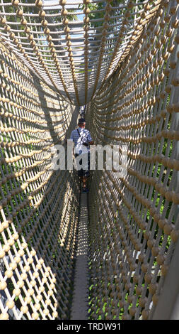 L'homme sur le pont de corde de treetop walk, Allemagne, Thuringe, Parc national du Hainich Banque D'Images