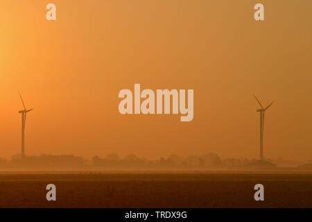 Lever du soleil dans le polder, Pays-Bas Banque D'Images