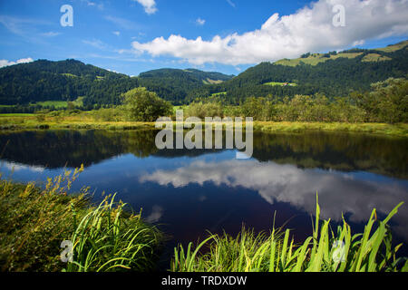 Moor lake un paysage de montagne, l'Autriche, le Tyrol, Schwemm, Schwemm Banque D'Images