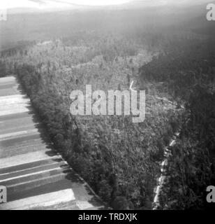 Les pertes de tempête dans une forêt à Ingolstadt, photo aérienne de l'année 1960, l'Allemagne, Bavière, Oberbayern, Haute-Bavière Banque D'Images