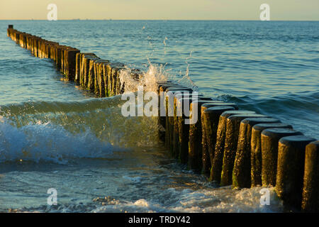 Épi en bois dans la région de la mer Baltique Mecklembourg-Poméranie-Occidentale, Allemagne, Bavière, région parc national, Zingst Banque D'Images