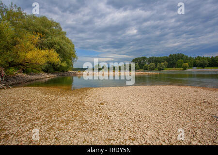 Danube, l'Allemagne, Bavière, Niederbayern, Basse-Bavière, Niederalteich Banque D'Images