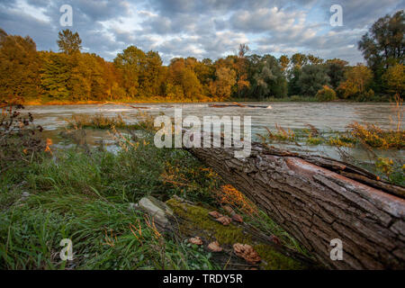 Nature Reserve Mittlere Isarauen entre Moosburg et Hangenham, Germany Banque D'Images