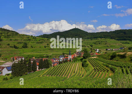 Village viticole de la région, Allemagne, Bade-Wurtemberg, Bickensohl Banque D'Images