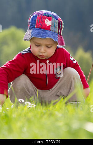 Portrait d'un jeune garçon assis sur une pelouse et jouant avec les marguerites Banque D'Images