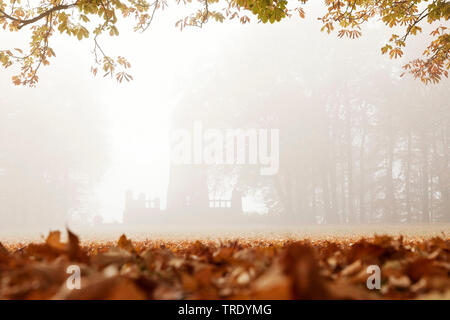 Berger monument à l'Hohenstein en automne brouillard, l'Allemagne, en Rhénanie du Nord-Westphalie, Ruhr, Witten Banque D'Images