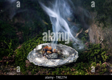 Tabagisme ; fumeurs avec Juniper, gomme de l'arbre et fumants, charbon, Allemagne Banque D'Images