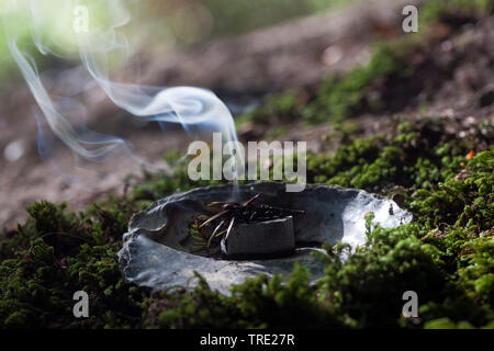 Tabagisme ; fumeurs avec Juniper, gomme de l'arbre et fumants, charbon, Allemagne Banque D'Images