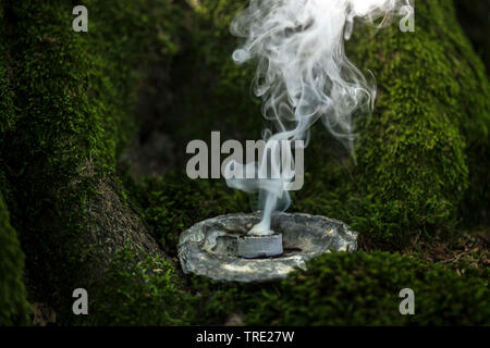 Tabagisme ; fumeurs avec Juniper, gomme de l'arbre et fumants, charbon, Allemagne Banque D'Images