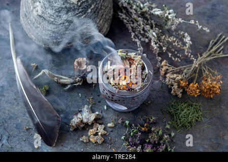 Le tabagisme à l'armoise, grande aunée fleur, millefeuille, St Johns millepertuis commun, origanum, sauvages et les aiguilles de l'épinette de résine d'épinette, Allemagne Banque D'Images
