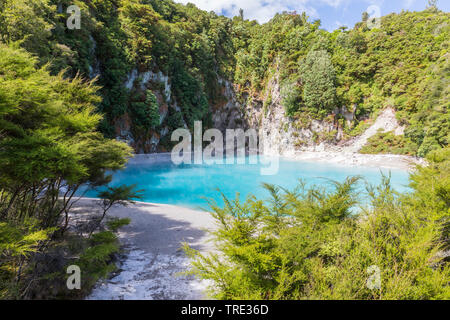 Lac de cratère volcanique à l'Inferno à Waimangu, Nouvelle-Zélande Banque D'Images