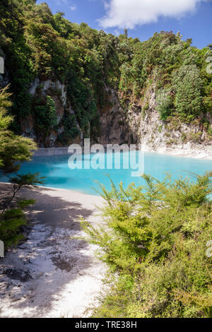 Lac de cratère volcanique à l'Inferno à Waimangu, Nouvelle-Zélande, la Vallée du Rift volcanique de Waimangu Banque D'Images