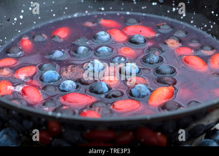 Prunellier, prunelle (Prunus spinosa), recueilli les fruits de prunellier et rose-hanches dans un poinçon, Allemagne Banque D'Images